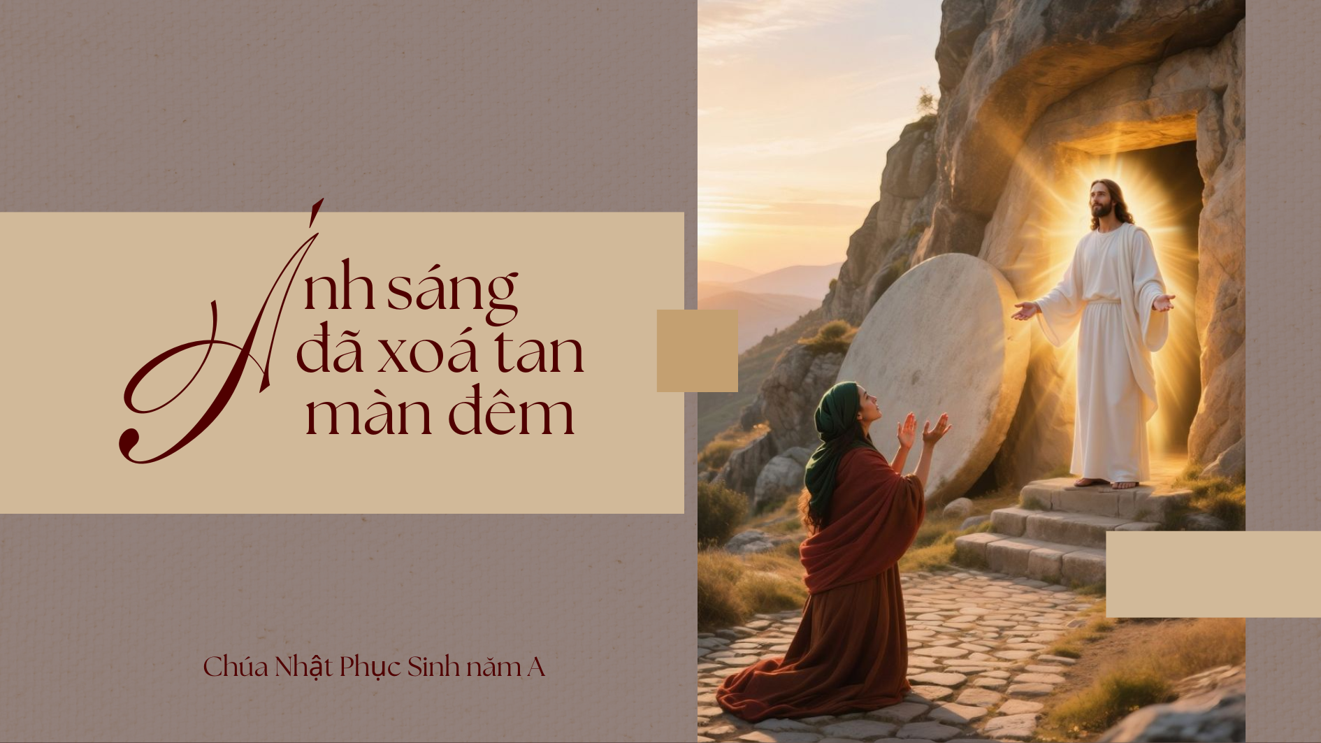 Ánh sáng đã xoá tan màn đêm